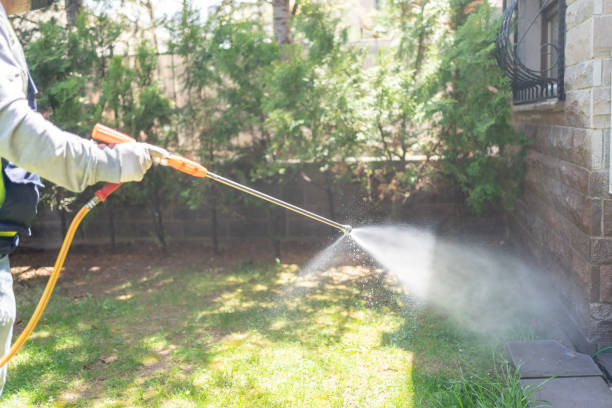 Best Affordable Pest Control Services  in Vaughn, WA