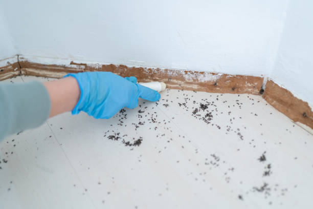 Best Best Pest Control Companies  in Vaughn, WA